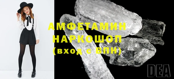 индика Бородино