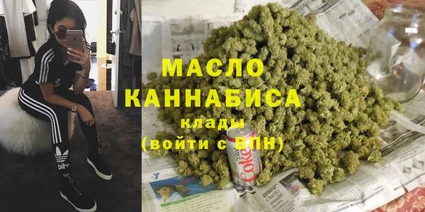 индика Бородино