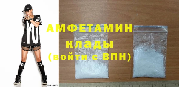 индика Бородино