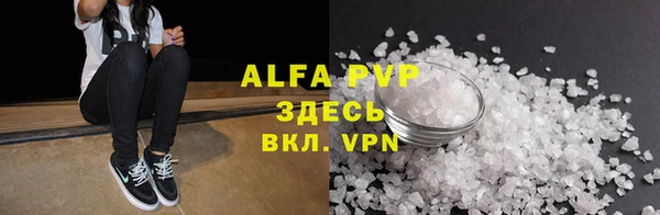 индика Бородино