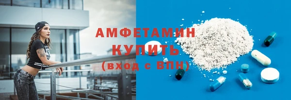 индика Бородино