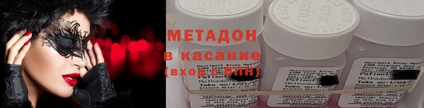 индика Бородино