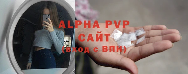 индика Бородино