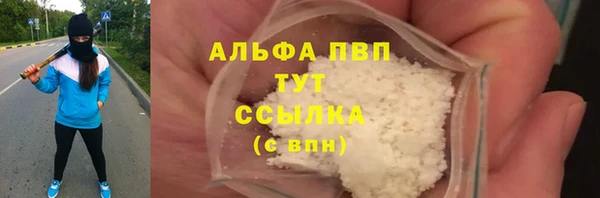индика Бородино