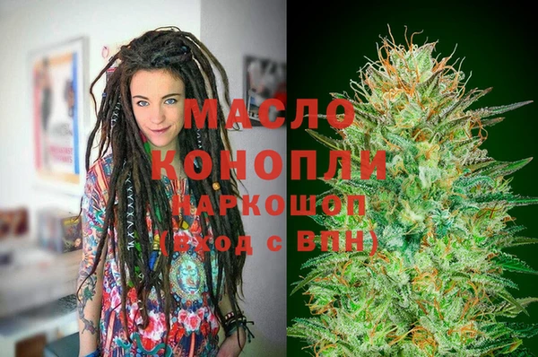 индика Бородино