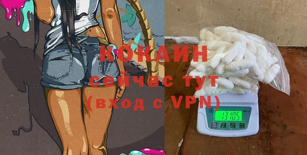индика Бородино