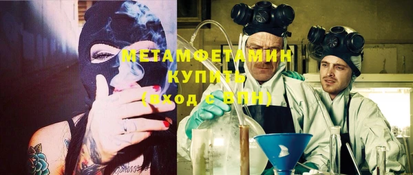 индика Бородино