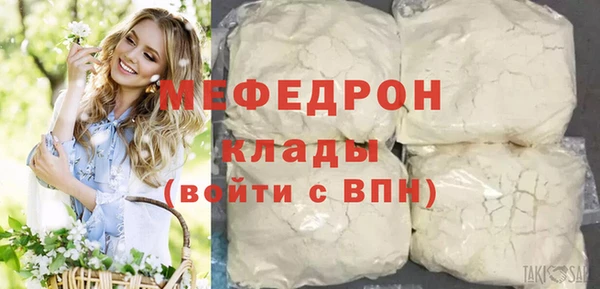 индика Бородино