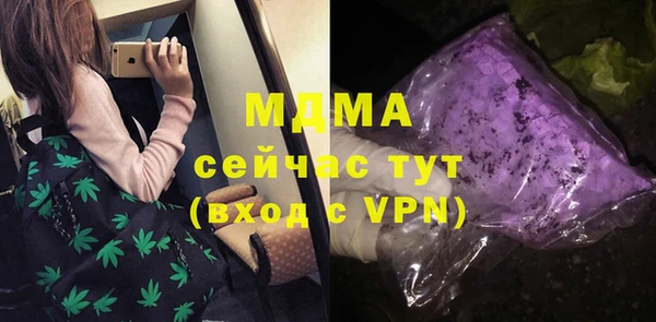 индика Бородино