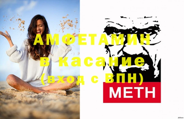 индика Бородино