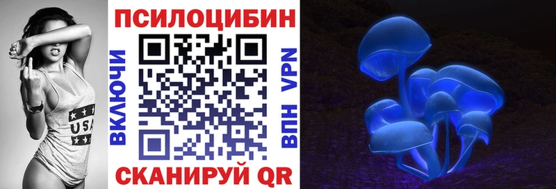 Купить где  Сосновка  Псилоцибиновые грибы MAGIC MUSHROOMS 